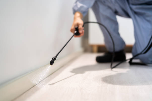 Bed Bug Pre-Treatment Preparation Assessment in Port Angeles