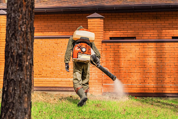 Bed Bug Clearance Verification and Documentation in Port Angeles